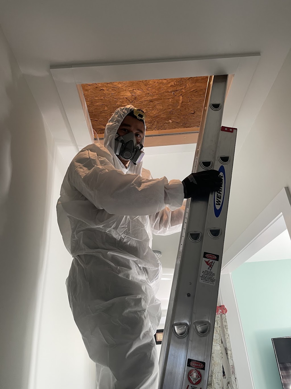 Apex Insulation Services | 14 Taylor Lake Dr, Hammonds Plains, NS B4B 1N7, Canada | Phone: (902) 488-1821