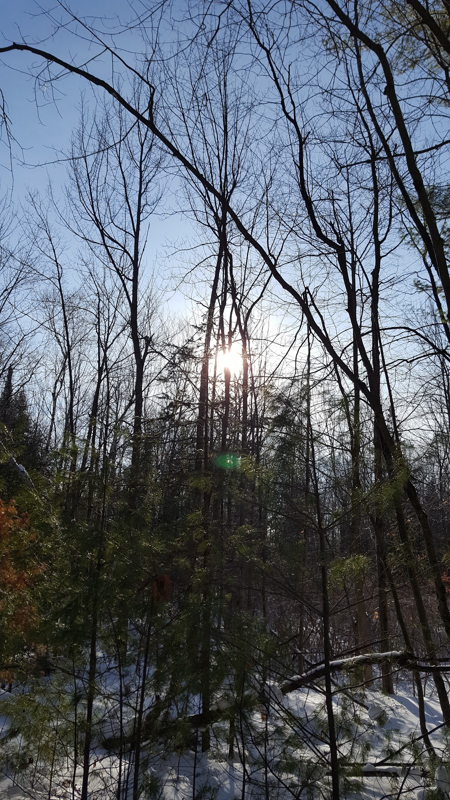 Wilson Hill Wildlife Management Area | Massena, NY 13662, USA