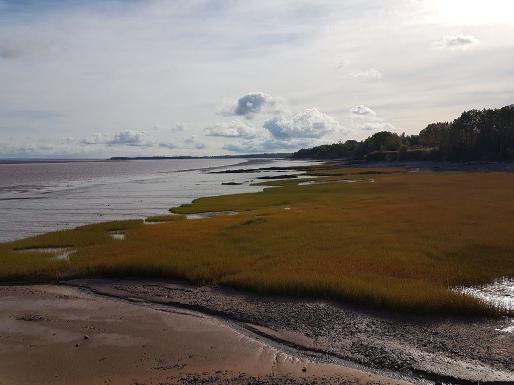 Anthony Provincial Park | 6889 NS-215, Maitland, NS B0N 1T0, Canada