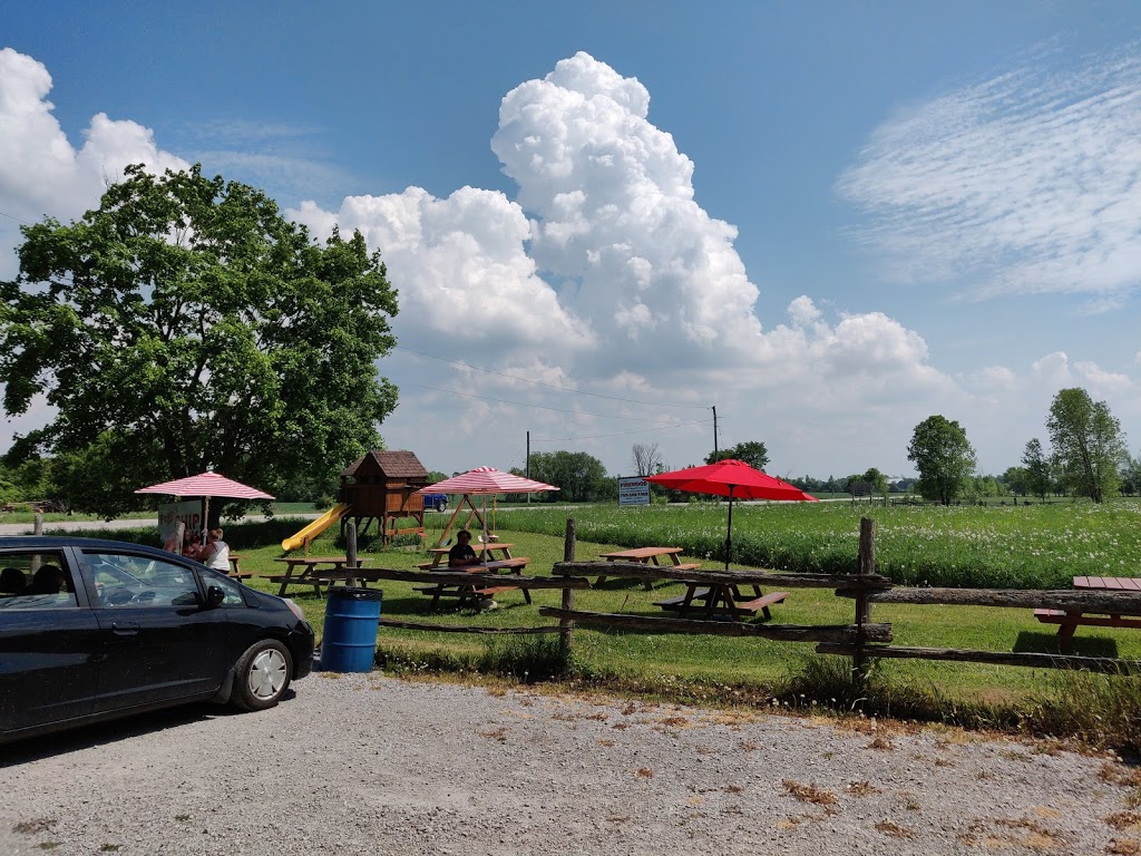 Peggys Chip Truck | 4216 Simcoe County Rd 169, Brechin, ON L0K 1B0, Canada