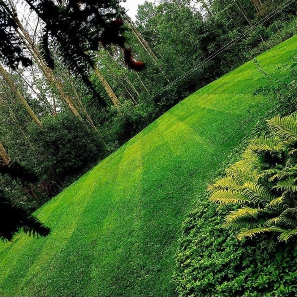 Lawn Fx | 442 Ridge Rd N, Ridgeway, ON L0S 1N0, Canada | Phone: (905) 380-1759