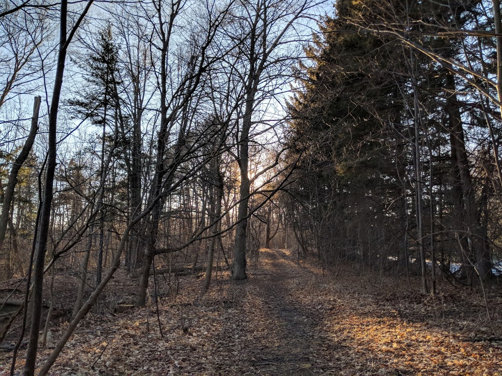 Janellan Ravine Park | 199 Beechgrove Dr, Scarborough, ON M1E 3Z3, Canada | Phone: (416) 392-2489