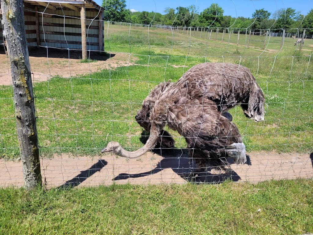 Oaklawn Farm Zoo | 1007 Ward Rd, Aylesford, NS B0P 1C0, Canada | Phone: (902) 847-9790