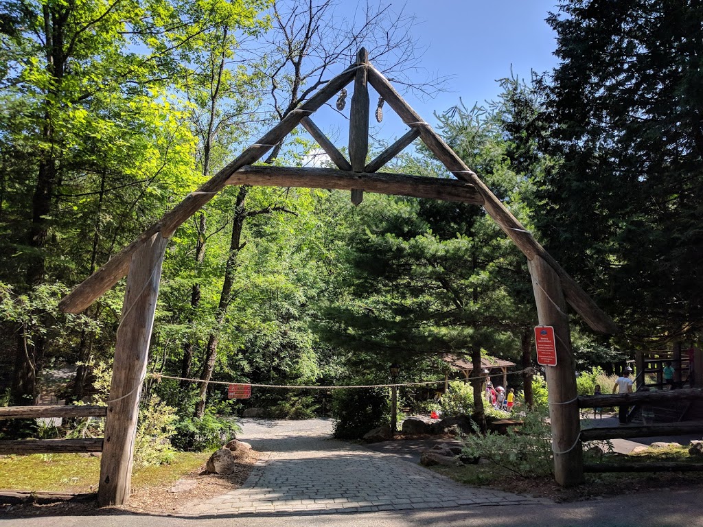 Camp des Débrouillards | 76 Chemin de Barkmere, Arundel, QC J0T 1A0, Canada | Phone: (877) 749-2267