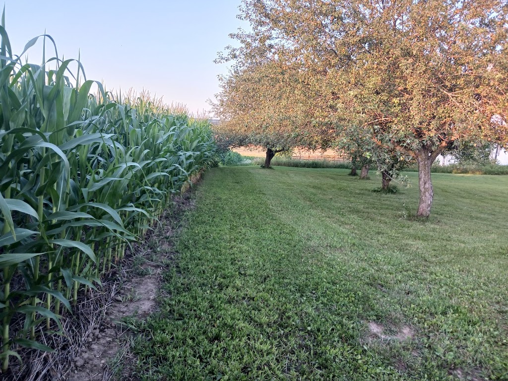 Carlsruhe Retreat | 1313 Sideroad 30 N, Walkerton, ON N0G 2V0, Canada | Phone: (519) 276-8005