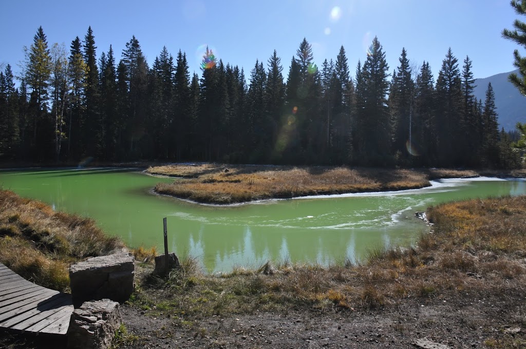 Sulphur Springs | East Kootenay A, BC V0B 1H0, Canada | Phone: (250) 865-4015