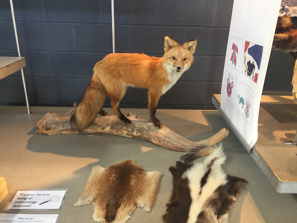 Killbear Provincial Park Visitors Centre | Unnamed Road, Killbear Park, ON P0G, Canada | Phone: (705) 342-5492