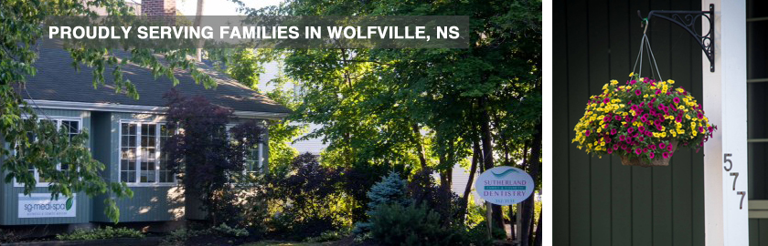 Apple Blossom Dental | 577 Main St, Wolfville, NS B4P 1E7, Canada | Phone: (902) 352-3131