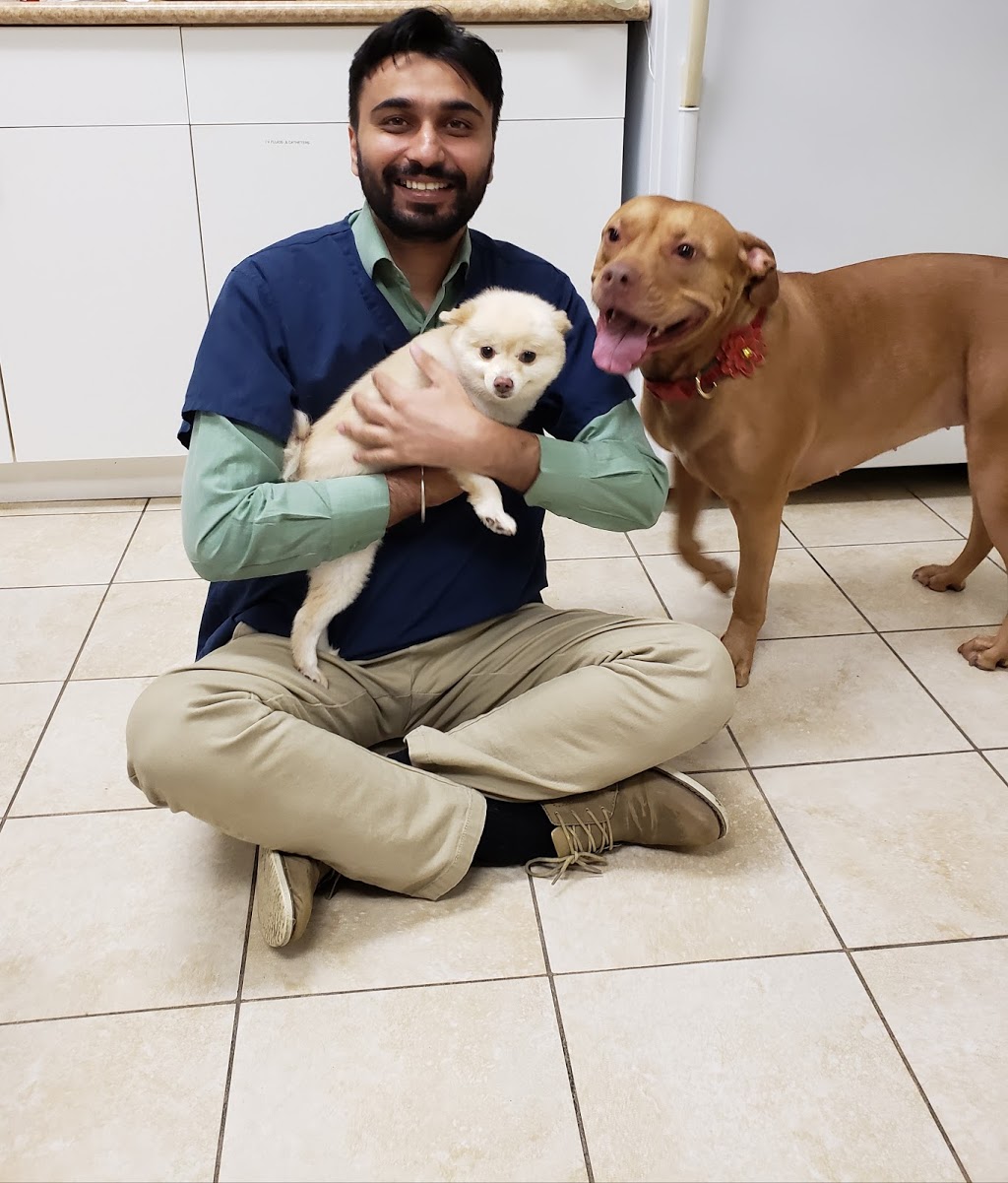 South Fraser Animal Hospital | 31813 S Fraser Way Unit # 3, Abbotsford, BC V2T 1V4, Canada | Phone: (604) 855-0770