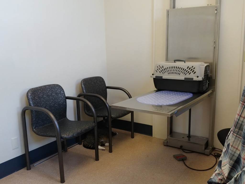 Transcona Veterinary Hospital | 501 Pandora Ave W, Winnipeg, MB R2C 1M8, Canada | Phone: (204) 222-5251