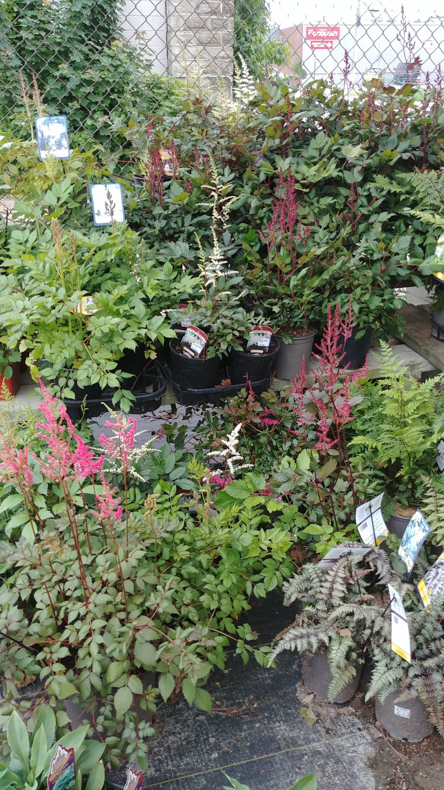 Verbeeks Farm & Garden Ctr | 22 Isaac St, Clinton, ON N0M 1L0, Canada | Phone: (519) 482-9333