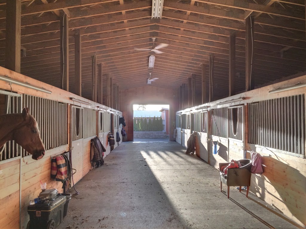 Bekevar Farms | 2863 240 St, Langley, BC V2Z 1N3, Canada | Phone: (778) 999-2692