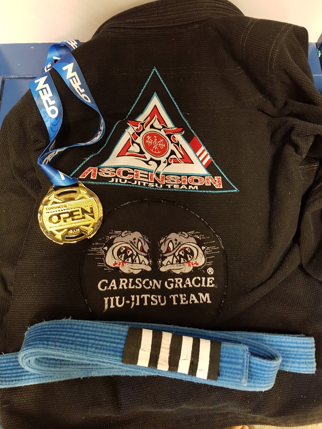 Salvosa Brazilian Jiu-Jitsu Academy | 31 Progress Ave #1, Scarborough, ON M1P 4S6, Canada | Phone: (416) 677-2722