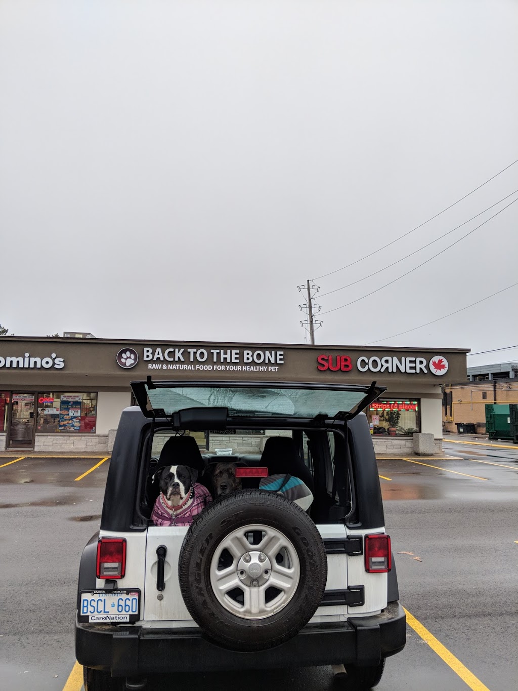 Back To The Bone Inc. | 495 Walkers Line, Burlington, ON L7N 2E3, Canada | Phone: (289) 337-4577