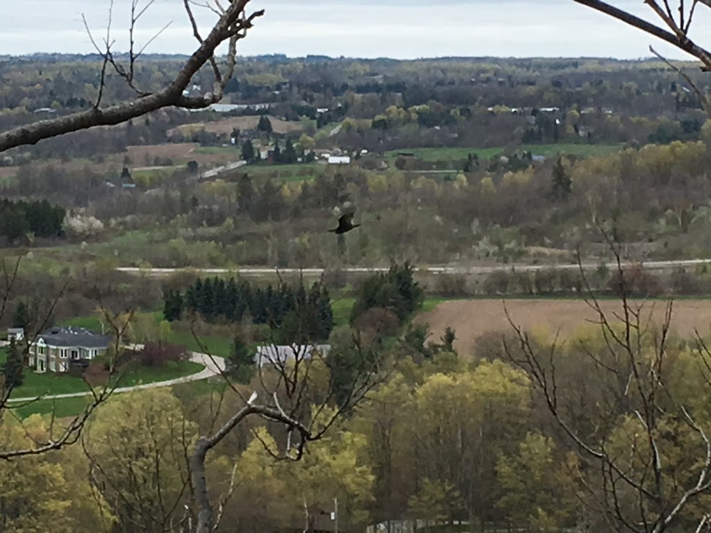 Rattlesnake Point Conservation Area | 7200 Appleby Line, Milton, ON L9E 0M9, Canada | Phone: (905) 854-0262