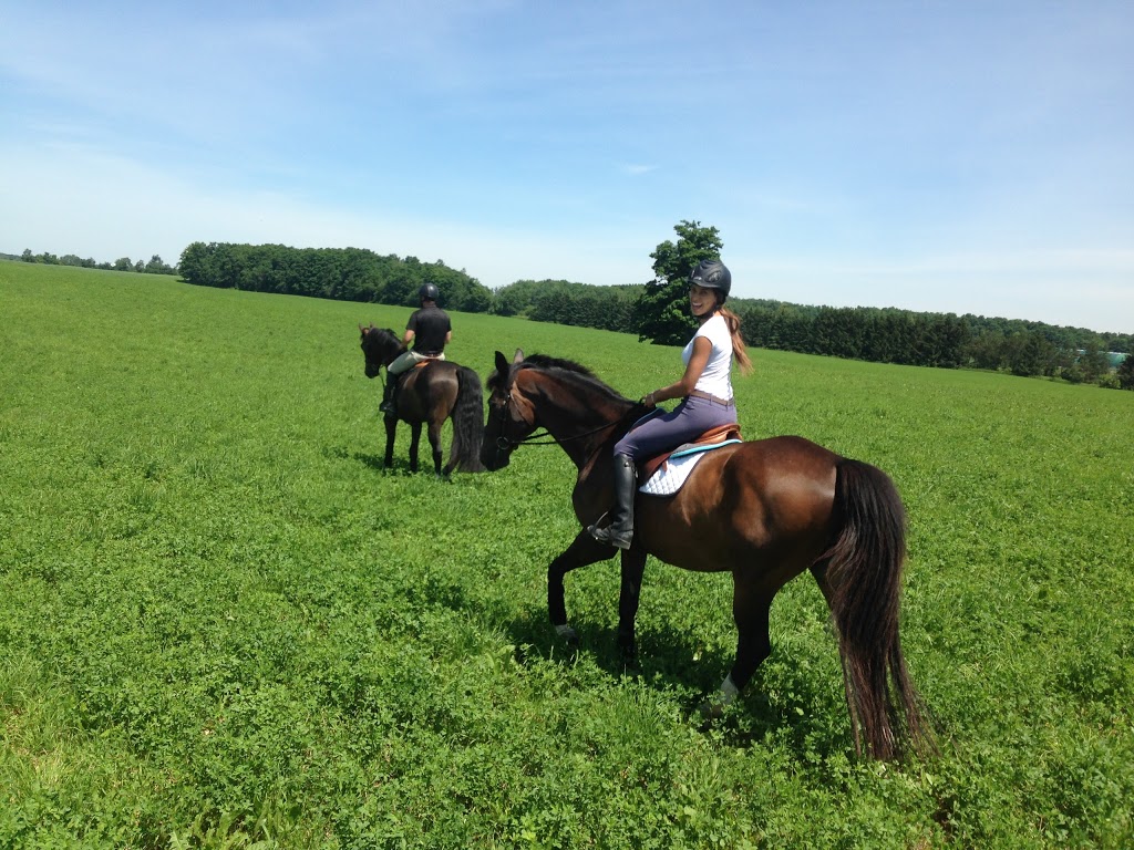 Crailin Stables | 14722 Heart Lake Rd, Inglewood, ON L7C 2J7, Canada | Phone: (519) 375-2337