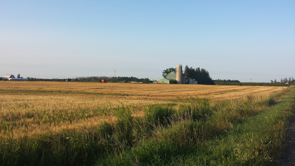Union Presbyterian Church | 16789 Main St, Georgetown, ON L7G 4S7, Canada | Phone: (647) 299-2128