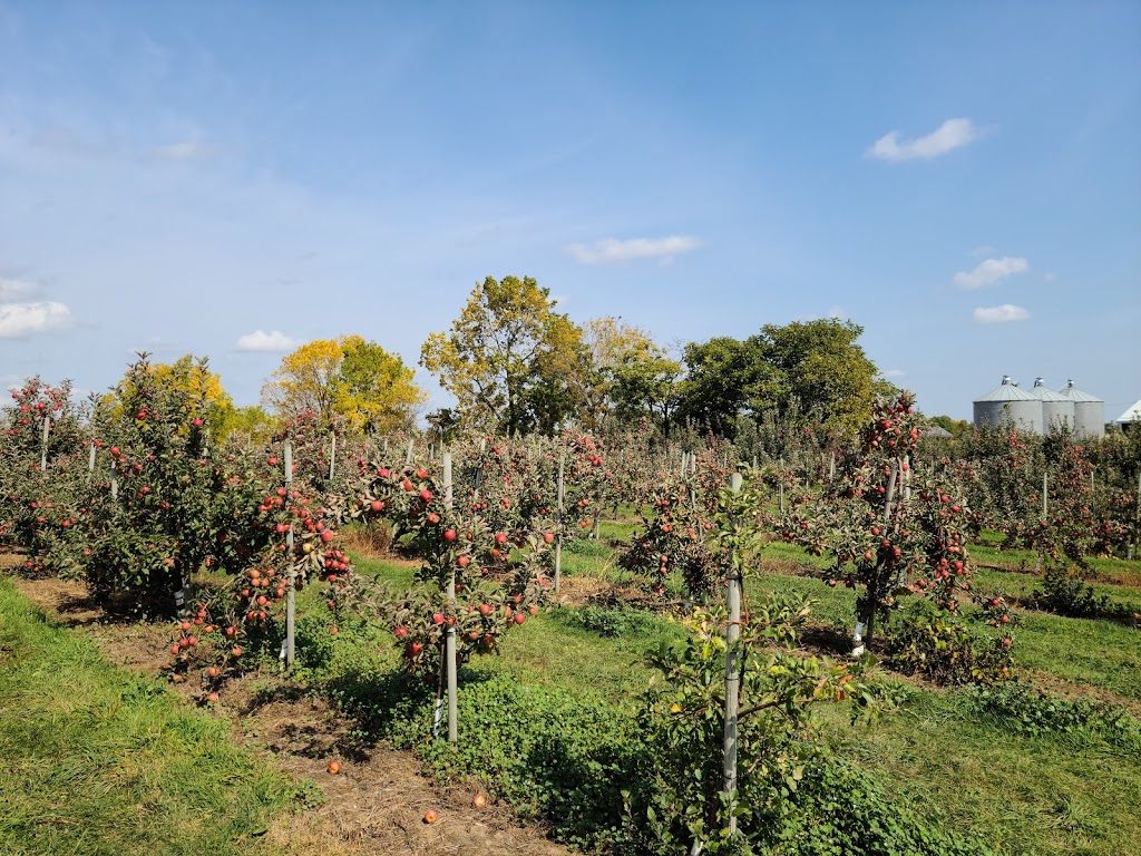Orchard Home Farm | 235 Howell Rd, Saint George, ON N0E 1N0, Canada | Phone: (519) 448-1111