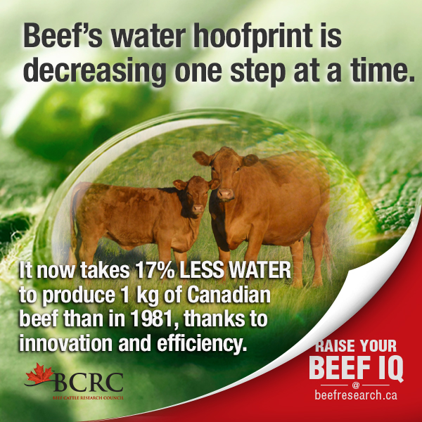 Beef Cattle Research Council | 6815 8 St NE #180, Calgary, AB T2E 7H7, Canada | Phone: (403) 275-8558