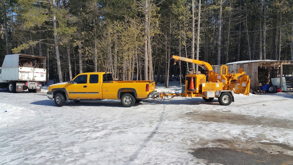 Tree Pro | Tree Removal & Stump Grinding | 169 Alderwood St, Whitchurch-Stouffville, ON L4A 5E6, Canada | Phone: (416) 568-6673