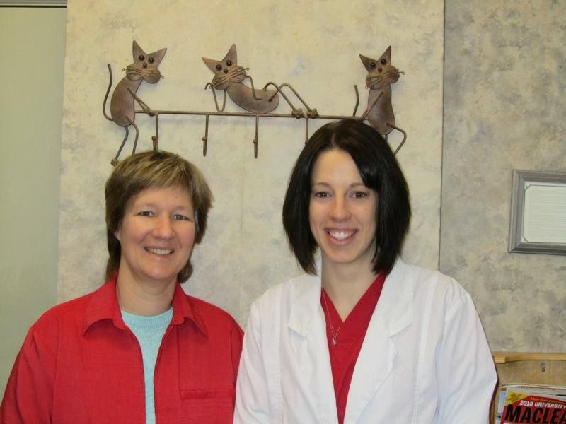 Wellington Animal Hospital Woodstock Veterinarian | 95 Wellington St S, Woodstock, ON N4S 3H9, Canada | Phone: (519) 539-9722