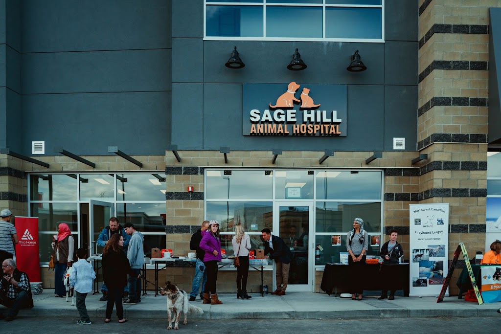 Sage Hill Animal Hospital | 65 Sage Hill Plaza NW #116, Calgary, AB T3R 0S4, Canada | Phone: (403) 567-8878