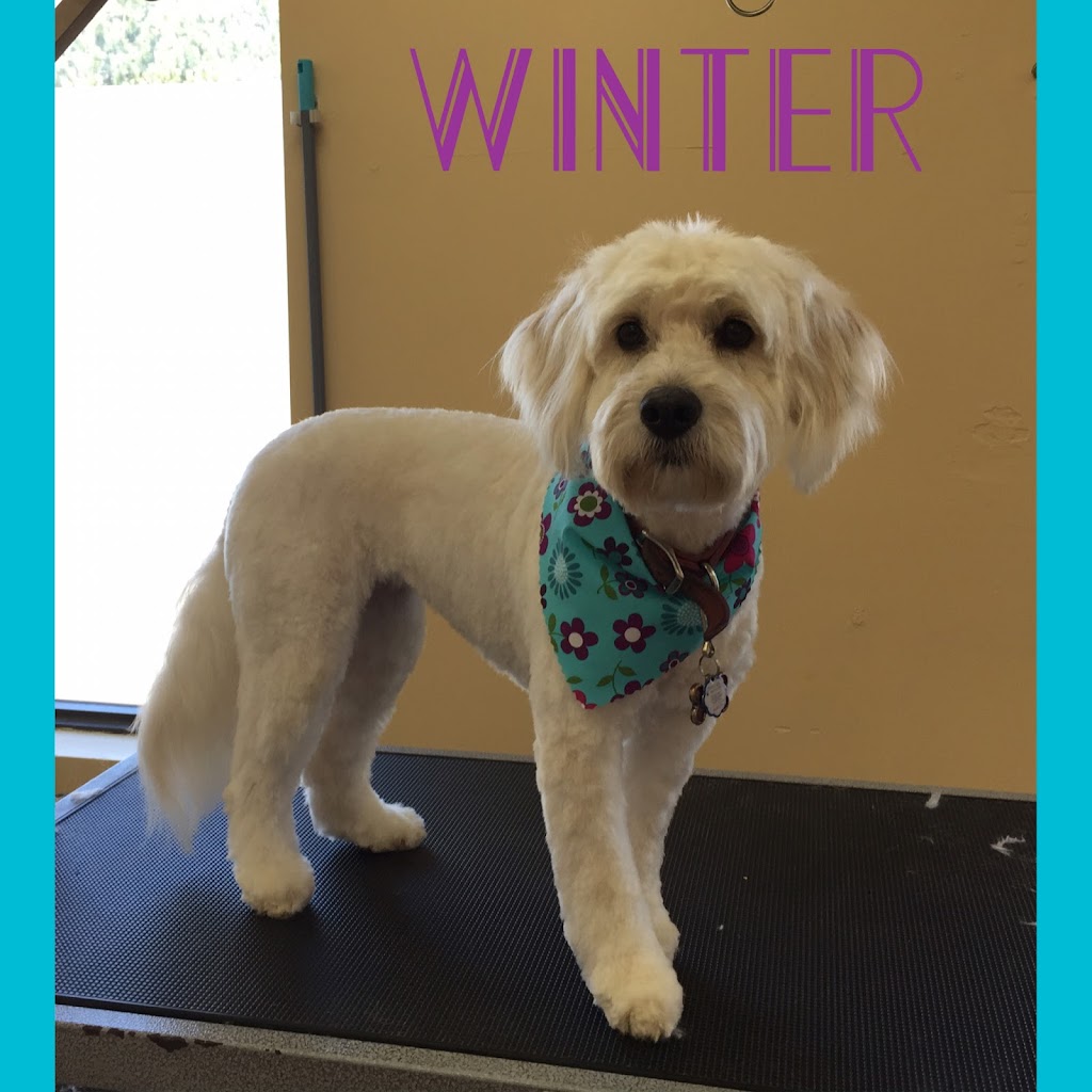 Beast To Beauty Pet Styling | 69 McLeod Dr, Aurora, ON L4G 5C1, Canada | Phone: (905) 713-0330