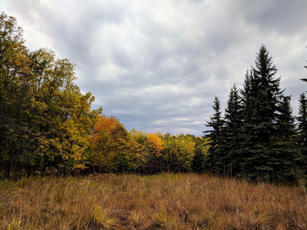 Henteleff Park | 1964 St Marys Rd, Winnipeg, MB R2N 4G8, Canada