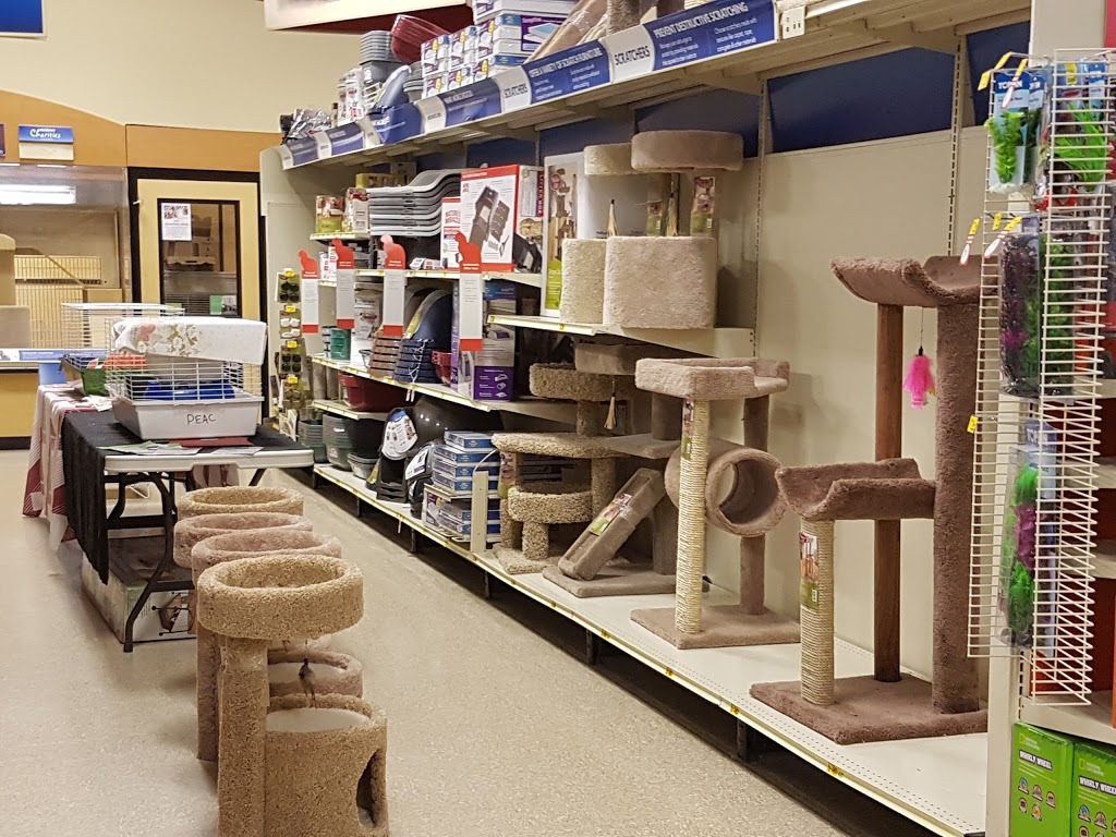 PetSmart | 225 High Tech Rd, Richmond Hill, ON L4B 0A6, Canada | Phone: (905) 764-6116