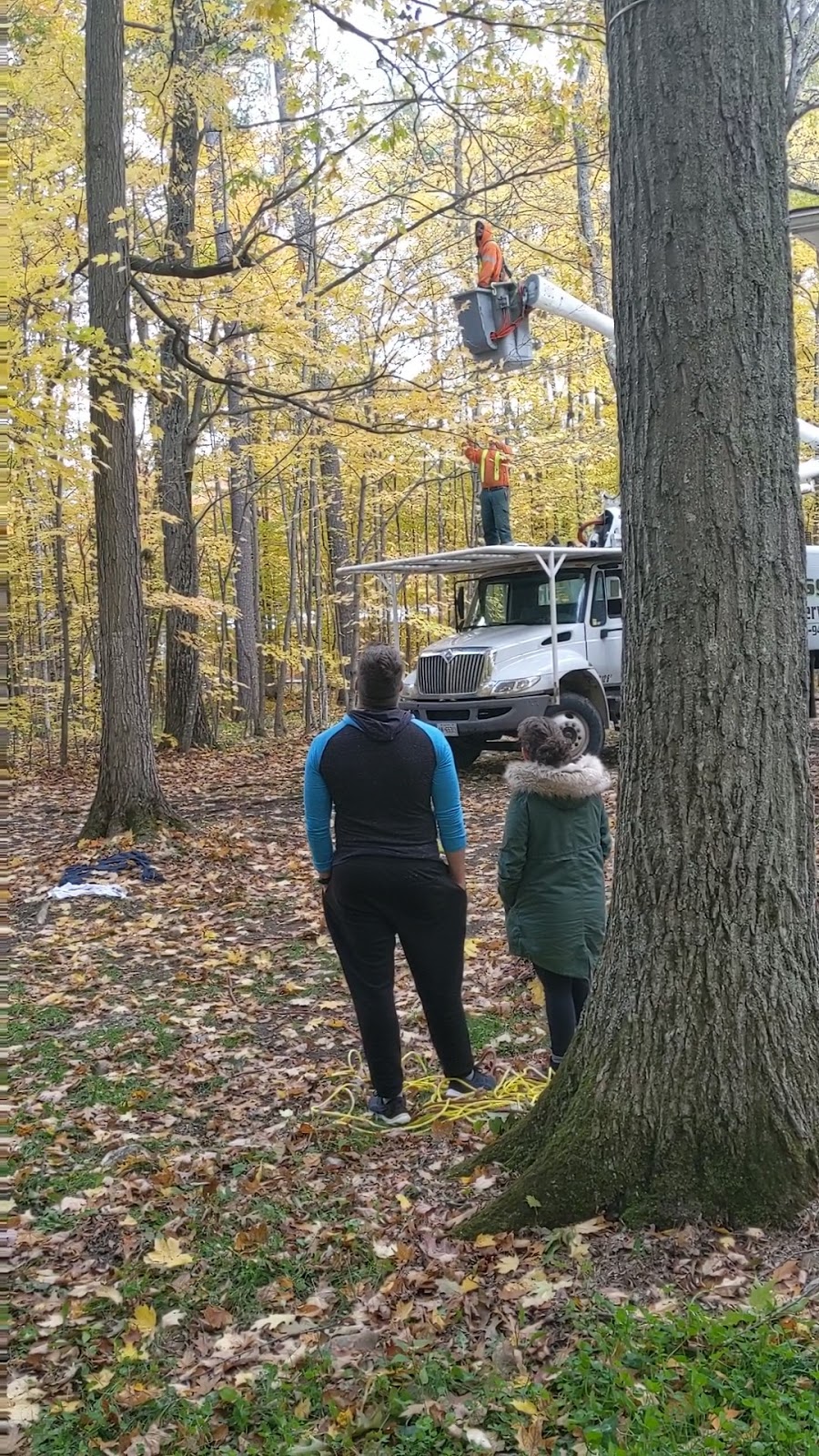 Joss Tree Service | 78 Logie St, Lindsay, ON K9V 5Y2, Canada | Phone: (705) 320-9483