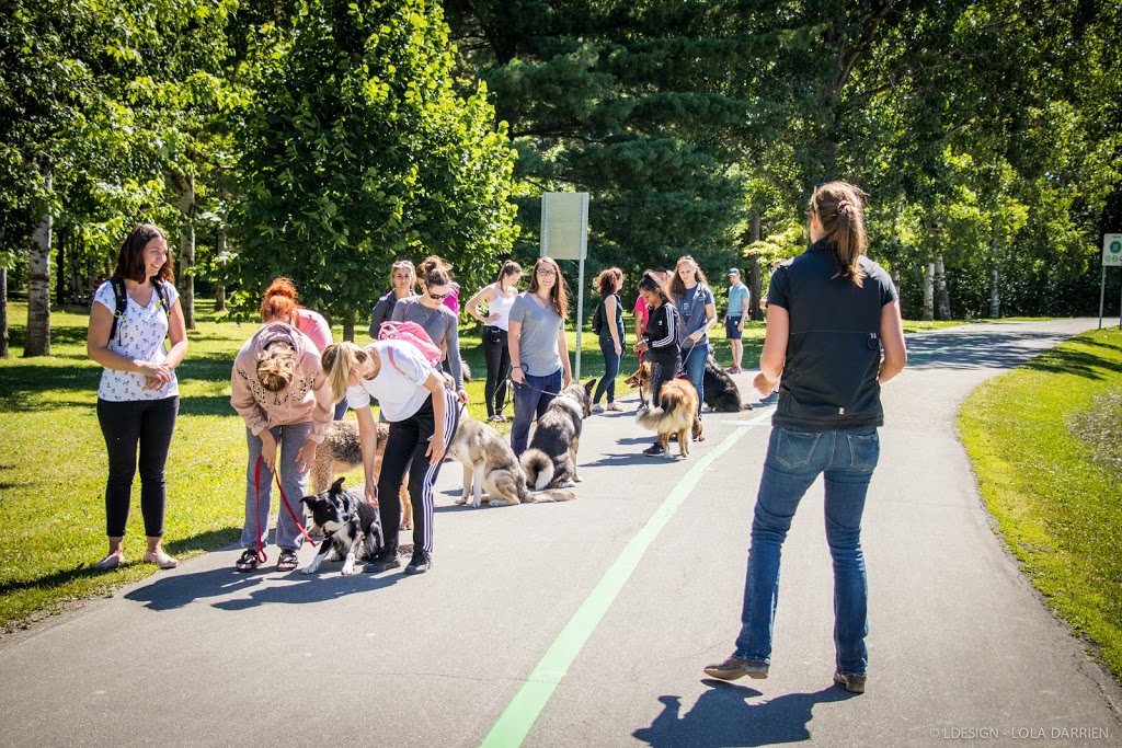 Espace Canin : entrainement et comportement | 4700 Chemin Aldrich, Waterville, QC J0P 3H0, Canada | Phone: (819) 212-2840