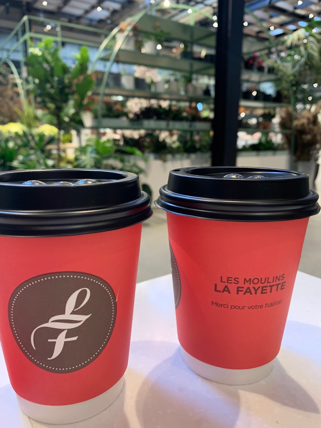 Moulins La Fayette St-Bruno | 510 Bd des Promenades, Saint-Bruno-de-Montarville, QC J3V 6A8, Canada | Phone: (450) 905-1442
