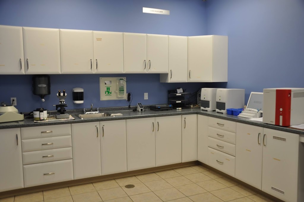 Beattie Animal Hospital | 70 Paris Rd, Brantford, ON N3R 1H9, Canada | Phone: (519) 756-1770