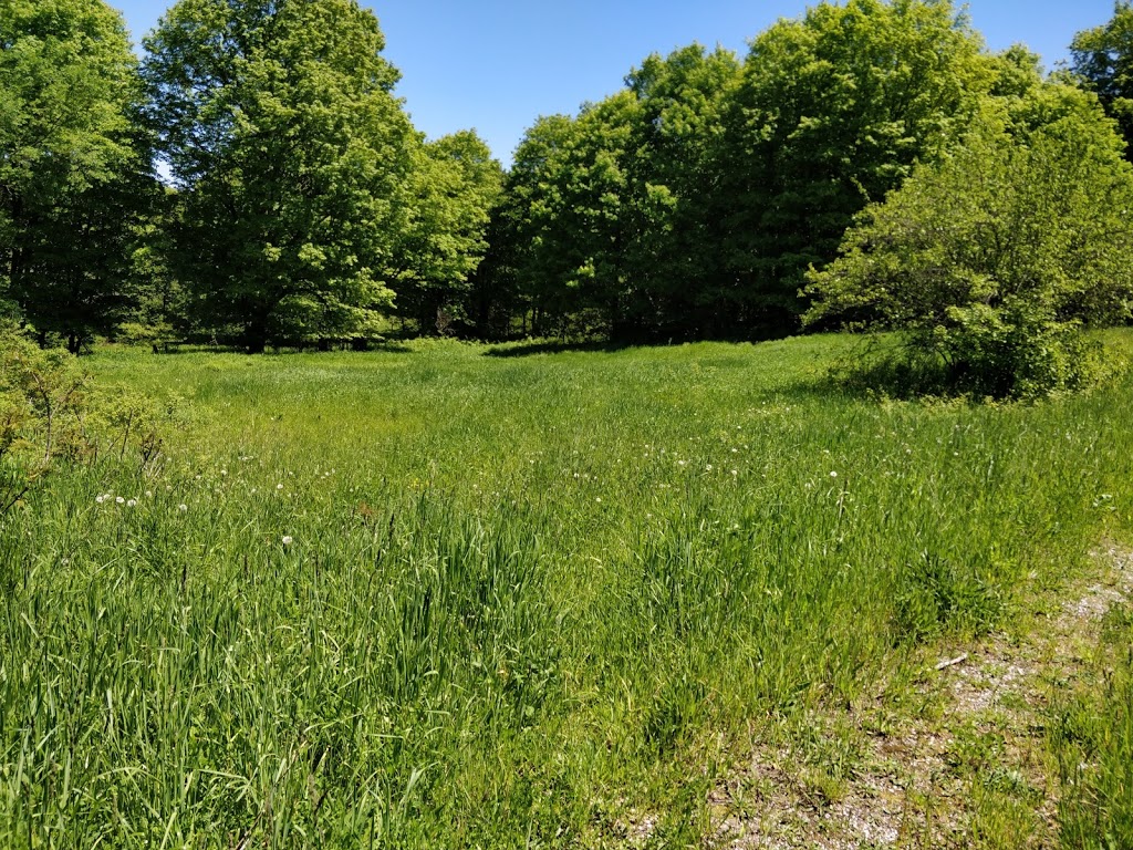 Kinghurst Nature Reserve | 175195 Concession Rd 6, Elmwood, ON N0G 1S0, Canada | Phone: (800) 440-2366