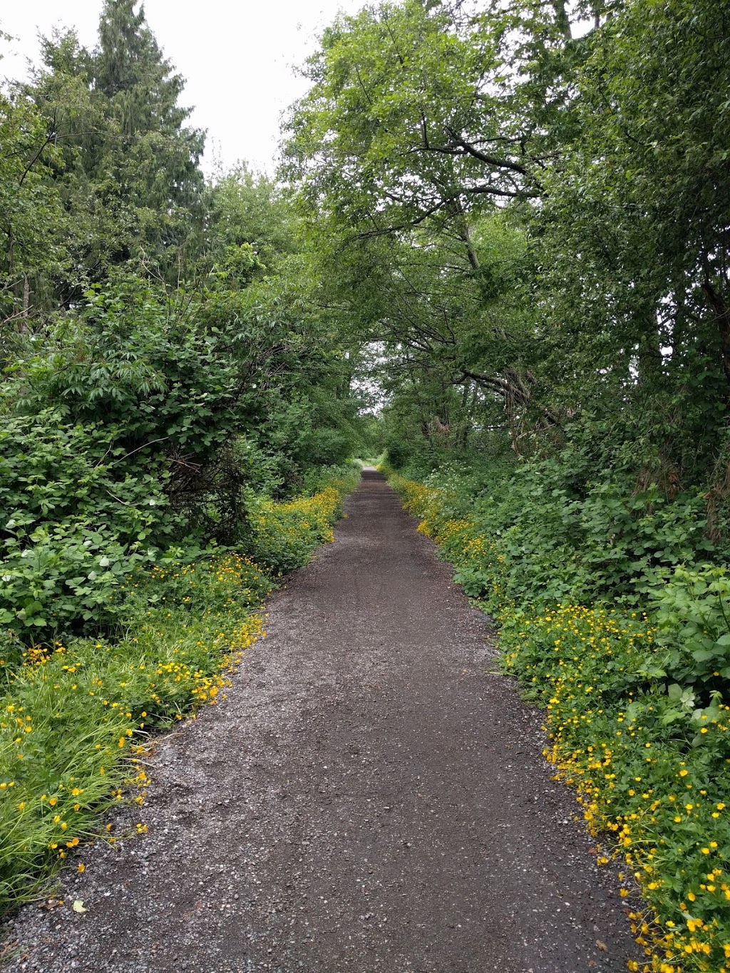 Bridgeport Trail | Bridgeport Trail, Richmond, BC V6X 3J8, Canada