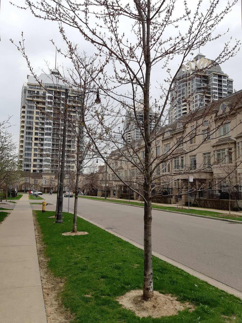 Kenaston Gardens Parkette | Kenaston Gardens Parkette, 12 Kenaston Gardens, North York, ON M2K 1G8, Canada | Phone: (416) 338-4386