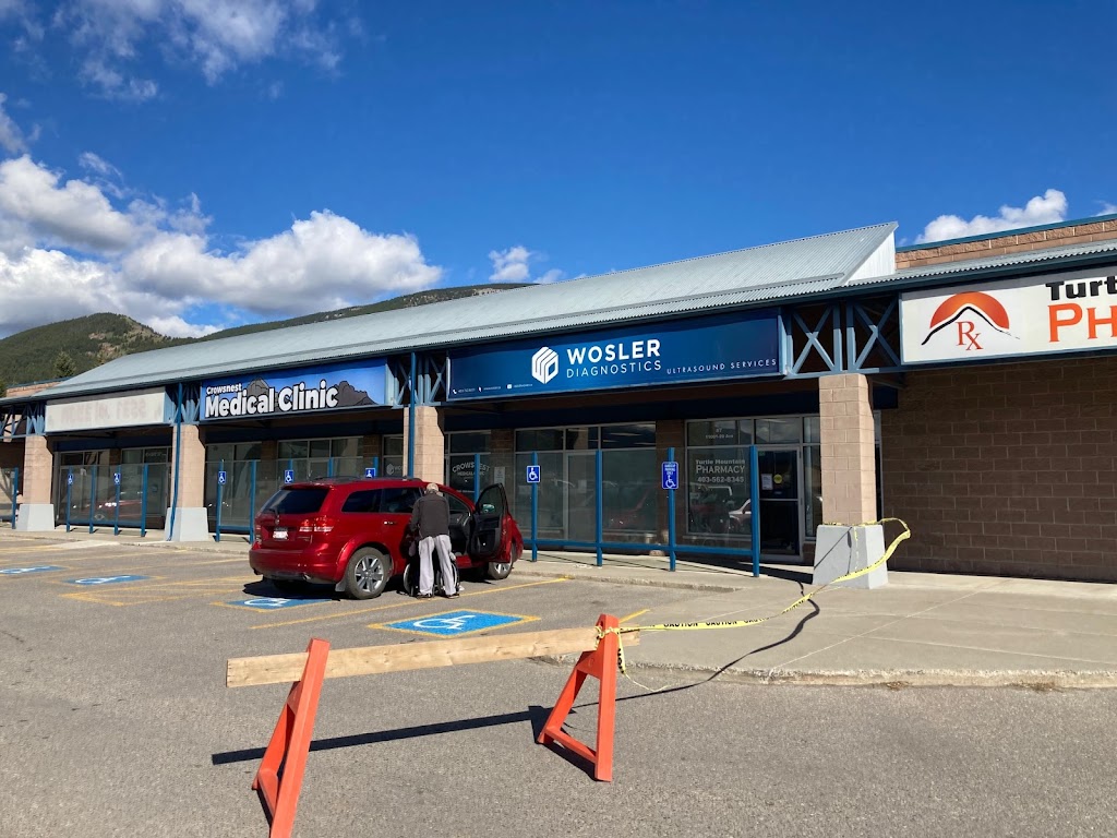 Wosler Diagnostics | 11001 20 Ave #1, Blairmore, AB T0K 0E0, Canada | Phone: (403) 744-4133
