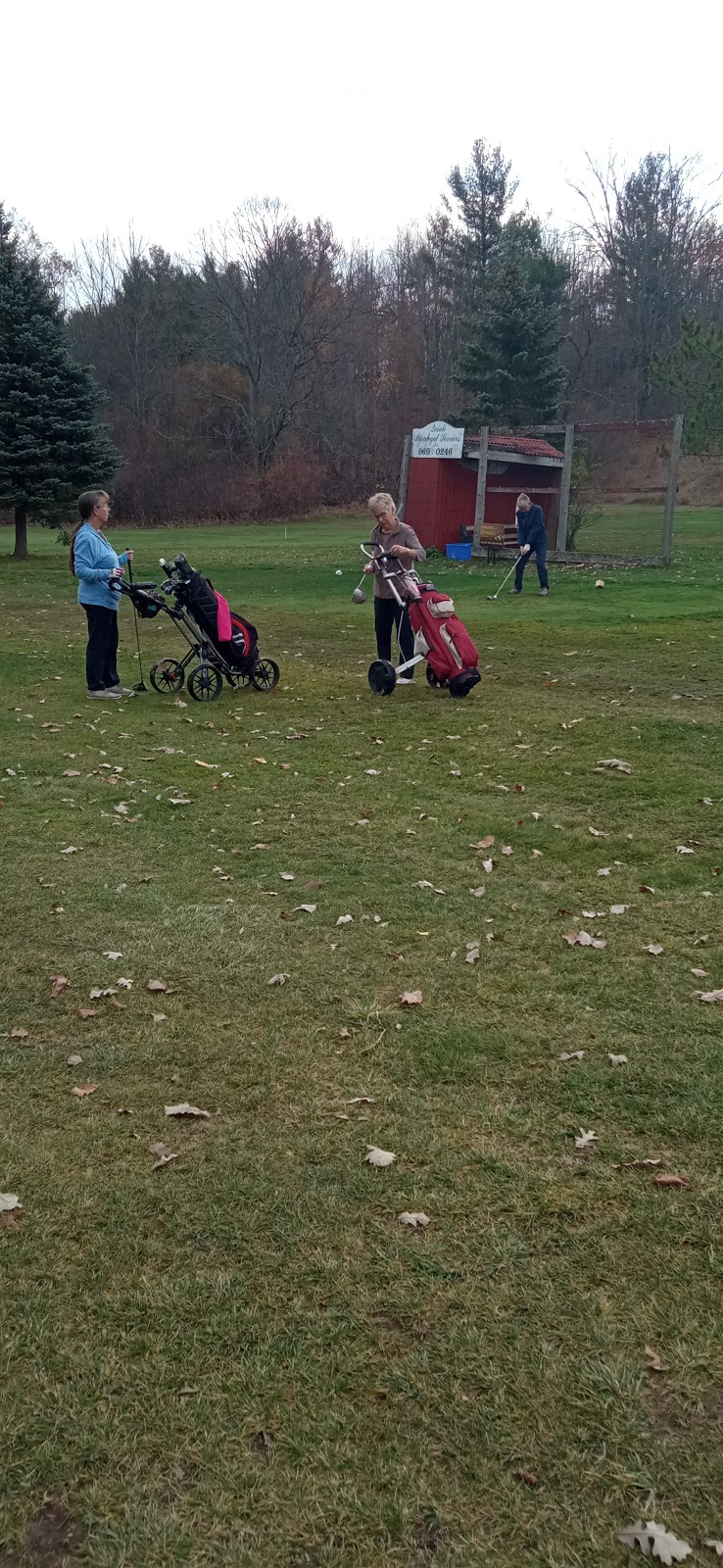 West Highland Golf Course | 177 Atkinson Rd, Madoc, ON K0K 2K0, Canada | Phone: (613) 473-3880