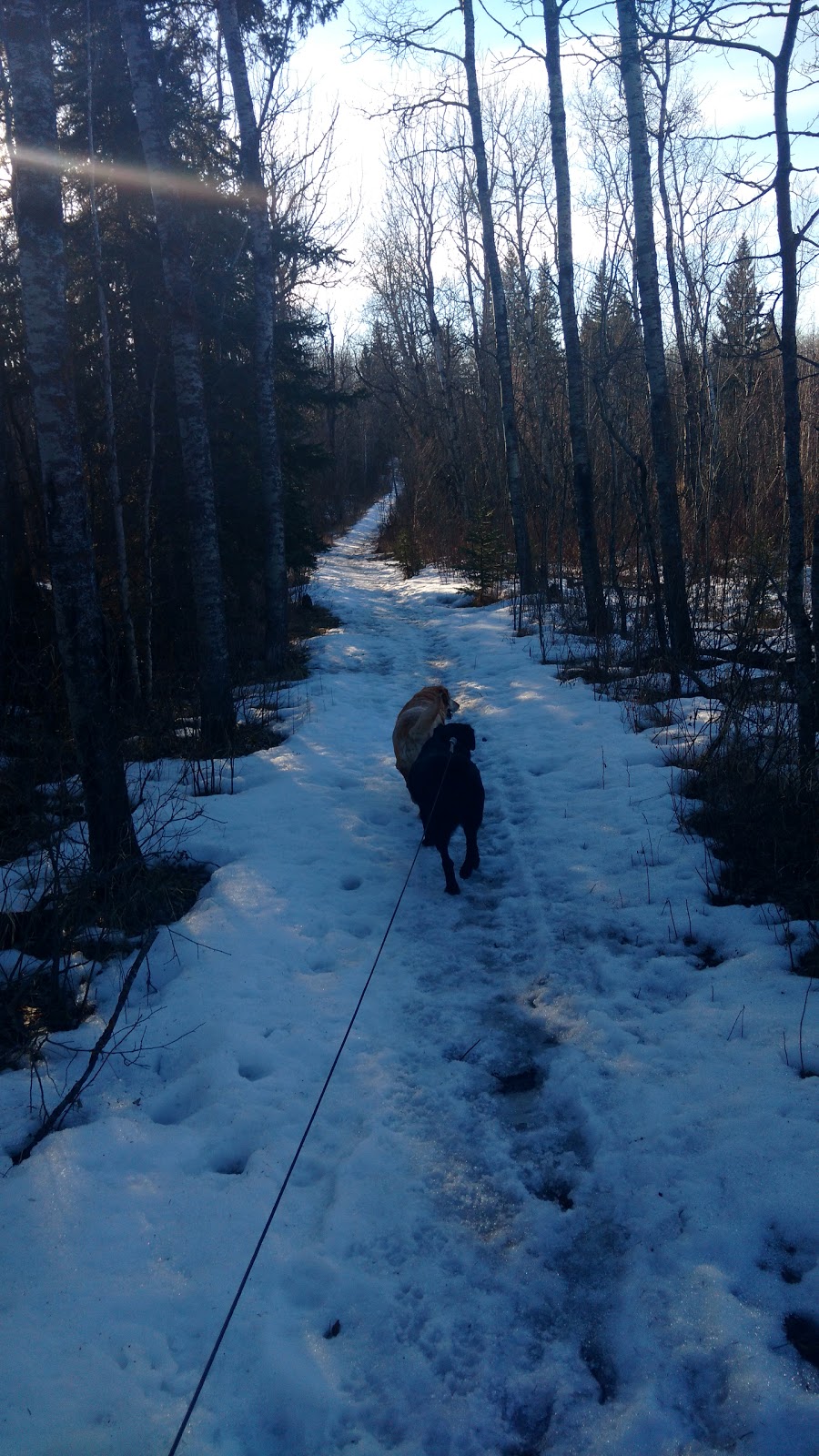 North Cooking Lake Natural Area | Strathcona County, AB T8G, Canada | Phone: (780) 427-3582