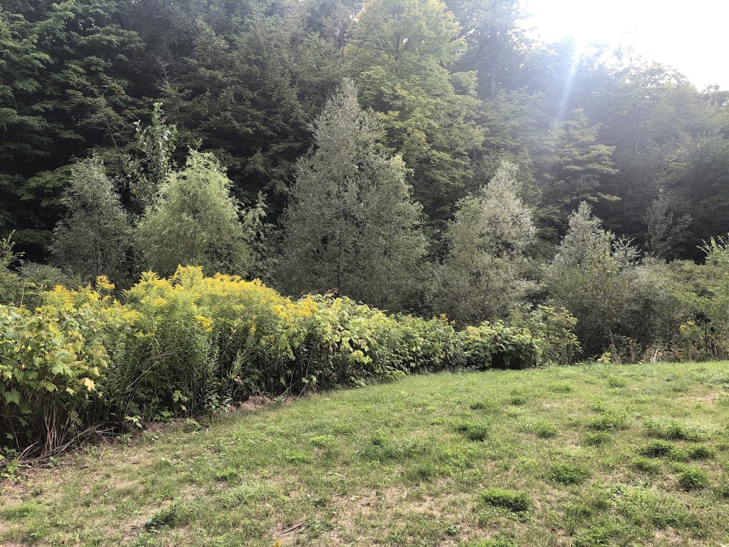 Wilket Creek Recreational Trail | Unnamed Road, Toronto, ON M3C, Canada