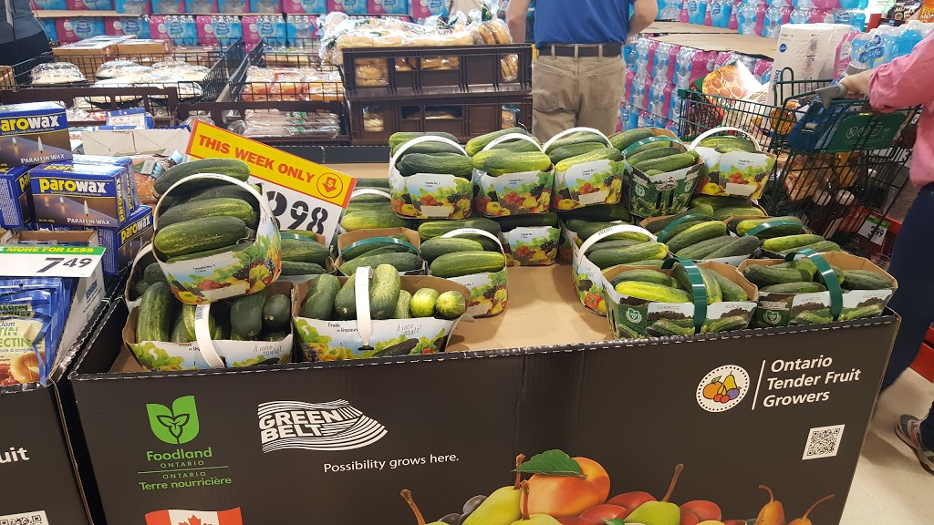 Food Basics | R.R. #5 2615, County Rd 43, Kemptville, ON K0G 1J0, Canada | Phone: (613) 258-1266