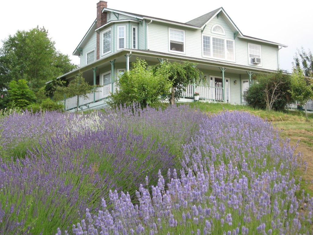 Back In Thyme Lavender and Country Gifts | 7247 Everett Rd, Ferndale, WA 98248, USA | Phone: (360) 303-5103