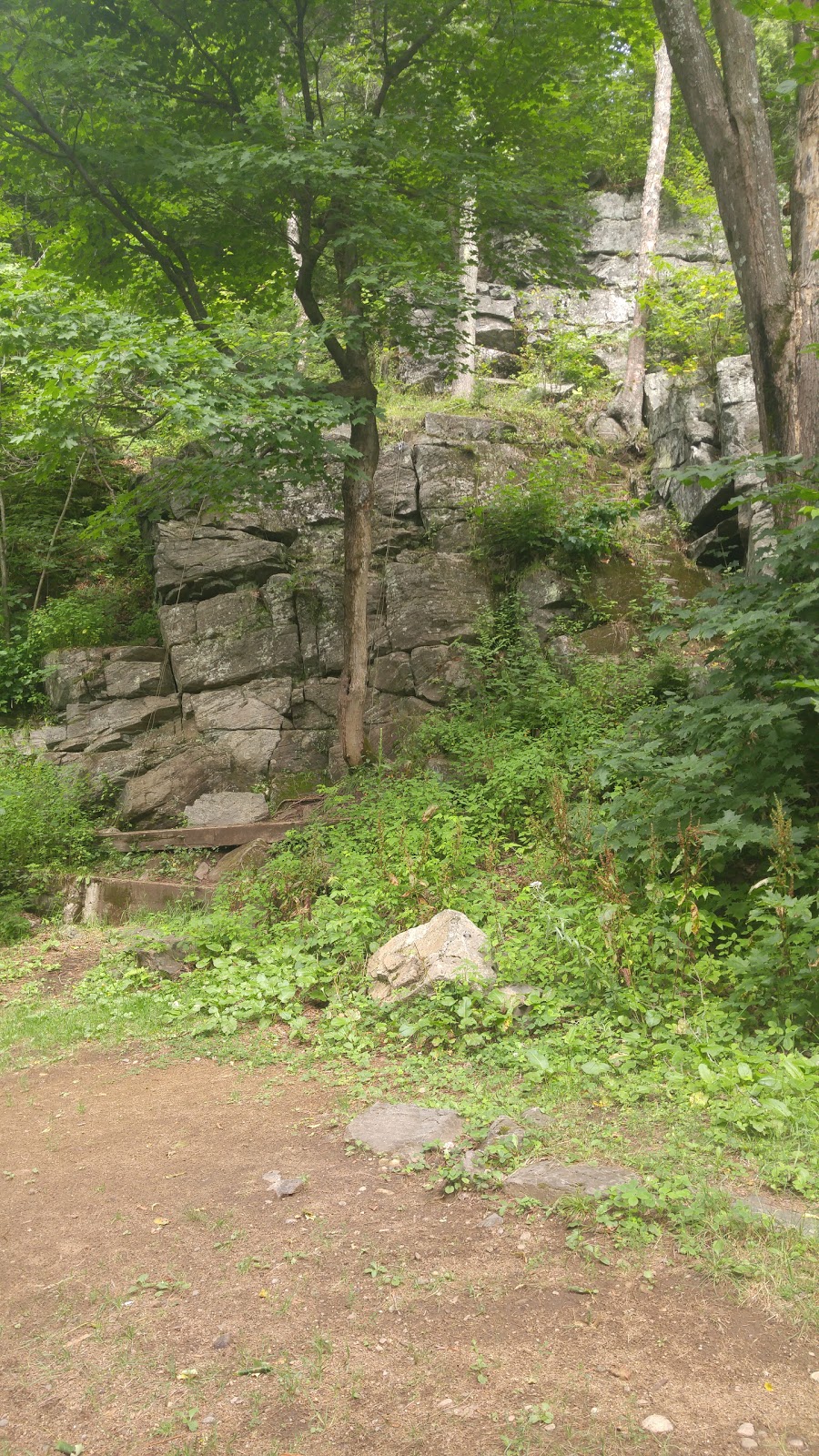 Camp Lac Vert | 850 chemin de lEster, Saint-Mathieu-du-Parc, QC G0X 1N0, Canada | Phone: (819) 532-3012