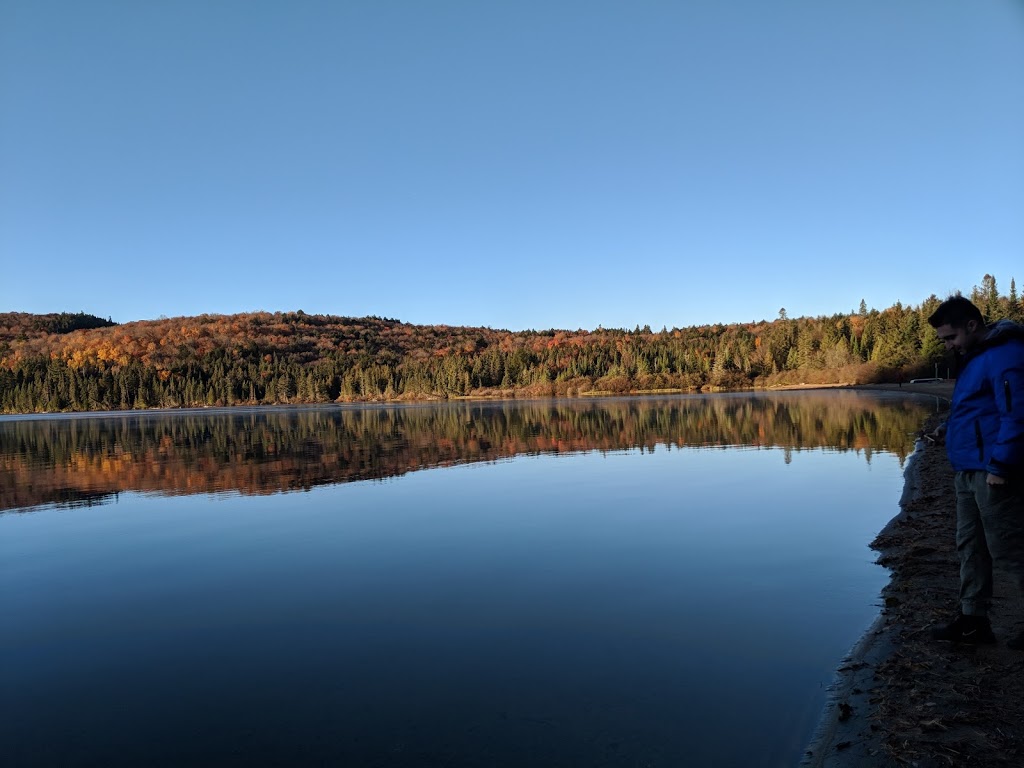 Muskoka Pioneer Power | 331 Fraserburg Rd, Bracebridge, ON P1L 0A1, Canada