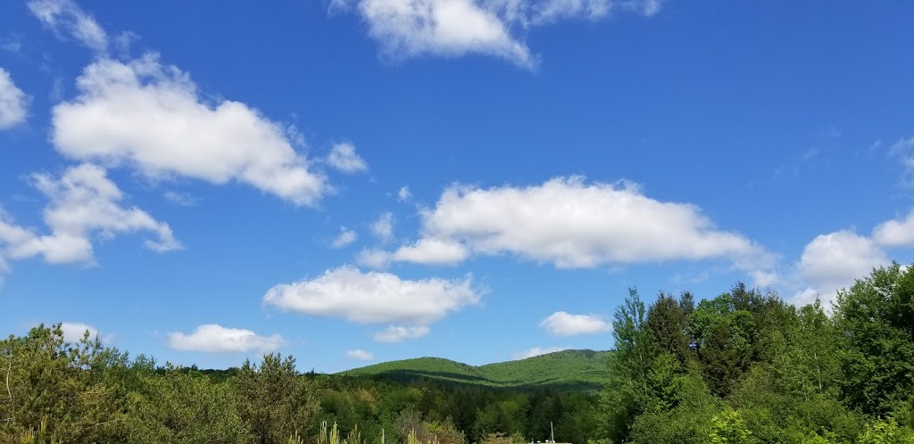 Sentier Mont Écho | Chemin de la Falaise, Sutton, QC J0E 2K0, Canada