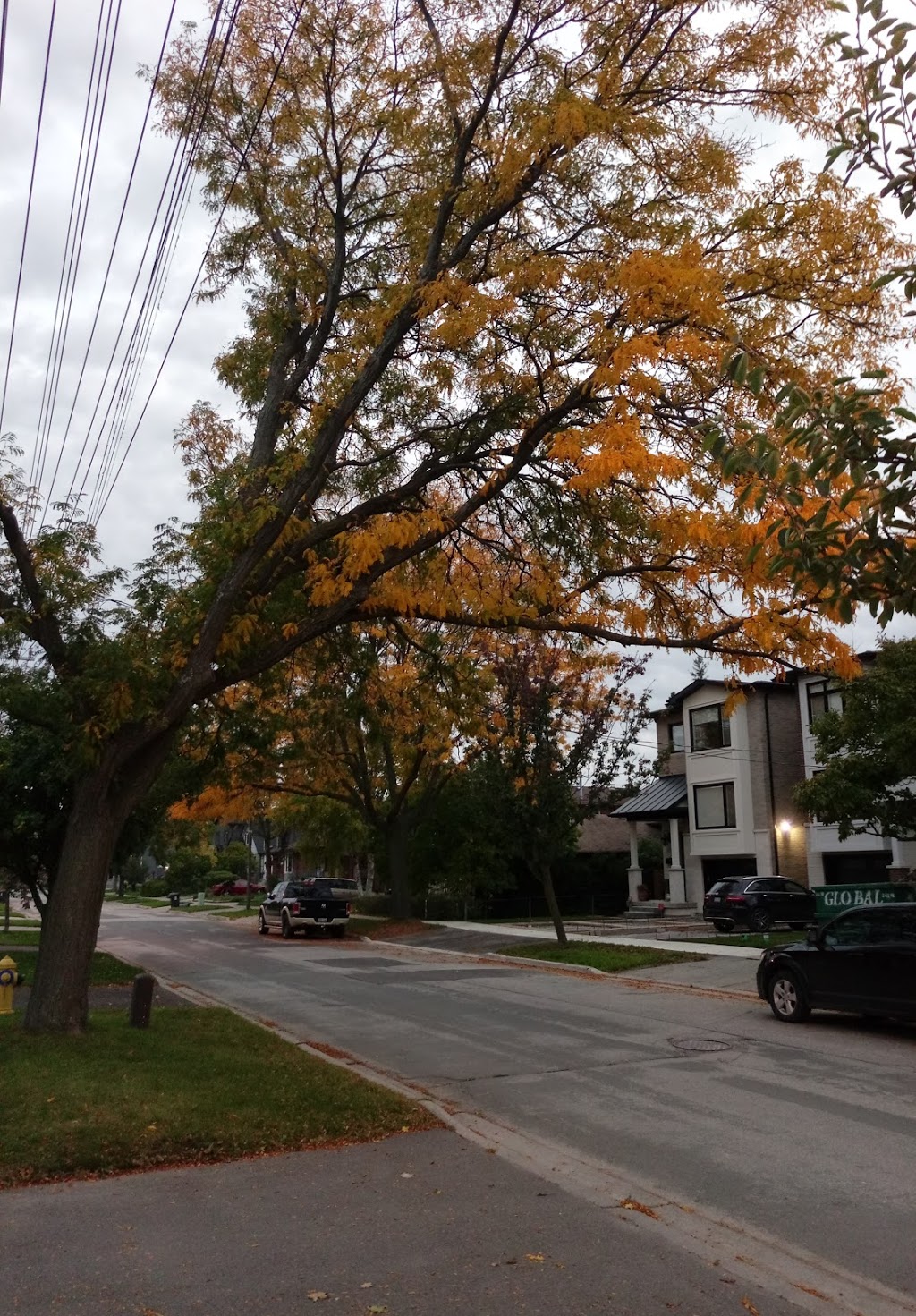 Connorvale Park | 281 Rimilton Ave, Etobicoke, ON M8W 2E5, Canada