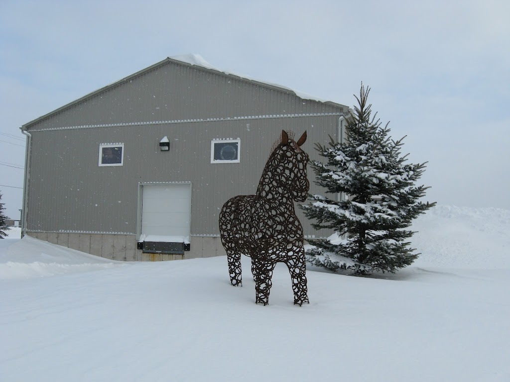 Professional Farrier Supply Inc. | 23 Coles Crescent, Mono, ON L9W 5W2, Canada | Phone: (519) 940-4247
