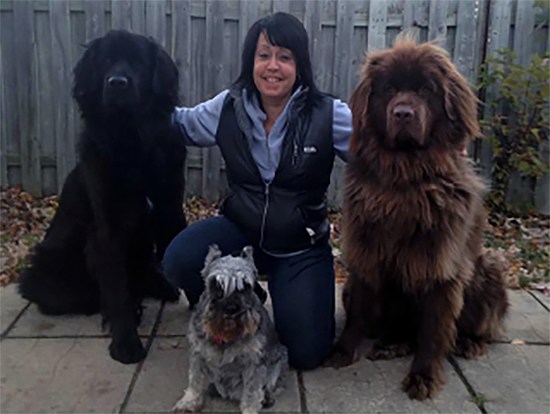 Pension pour chien Jappe-Y-Toutou | 2921 Rang du Haut de la Rivière, Sainte-Élisabeth, QC J0K 2J0, Canada | Phone: (514) 926-7613