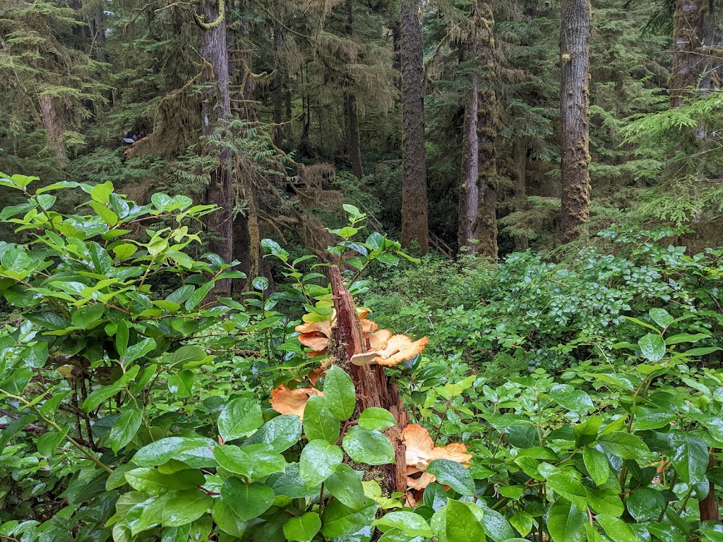 Pacific Rim National Park Reserve | British Columbia, Canada | Phone: (250) 726-3500