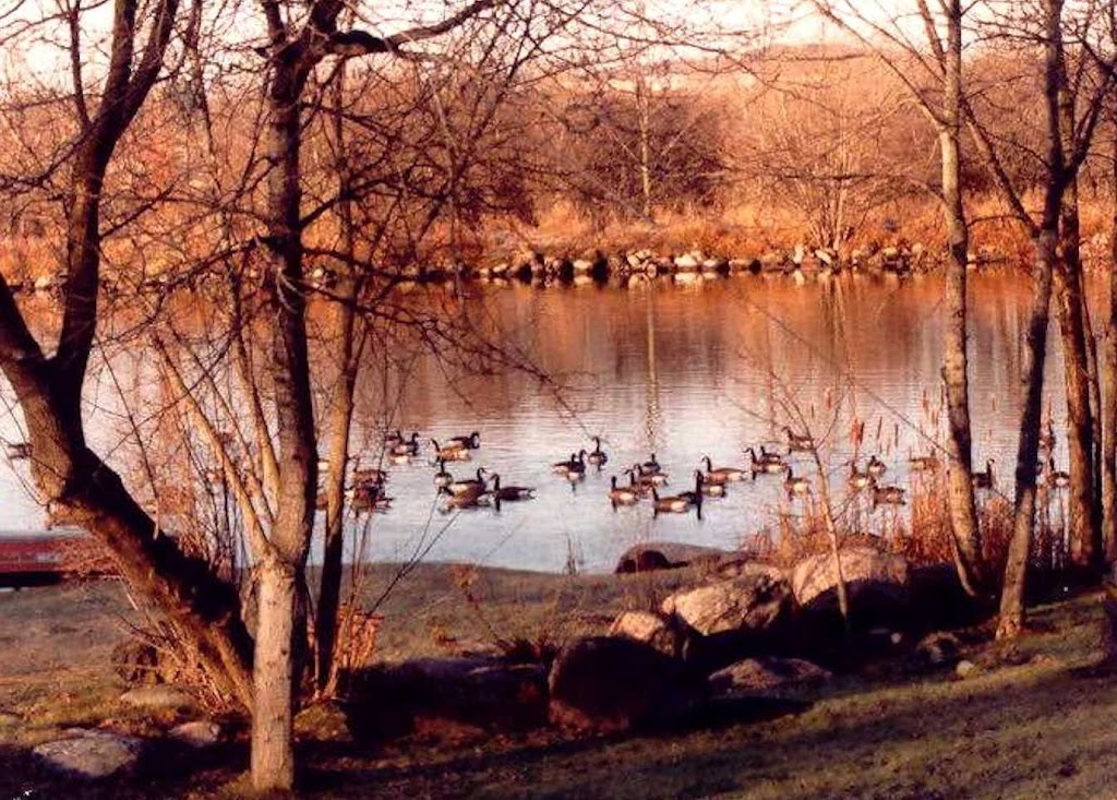 Liftlock Bed and Breakfast | 810 Canal Rd, Peterborough, ON K9L 1A1, Canada | Phone: (705) 742-0110